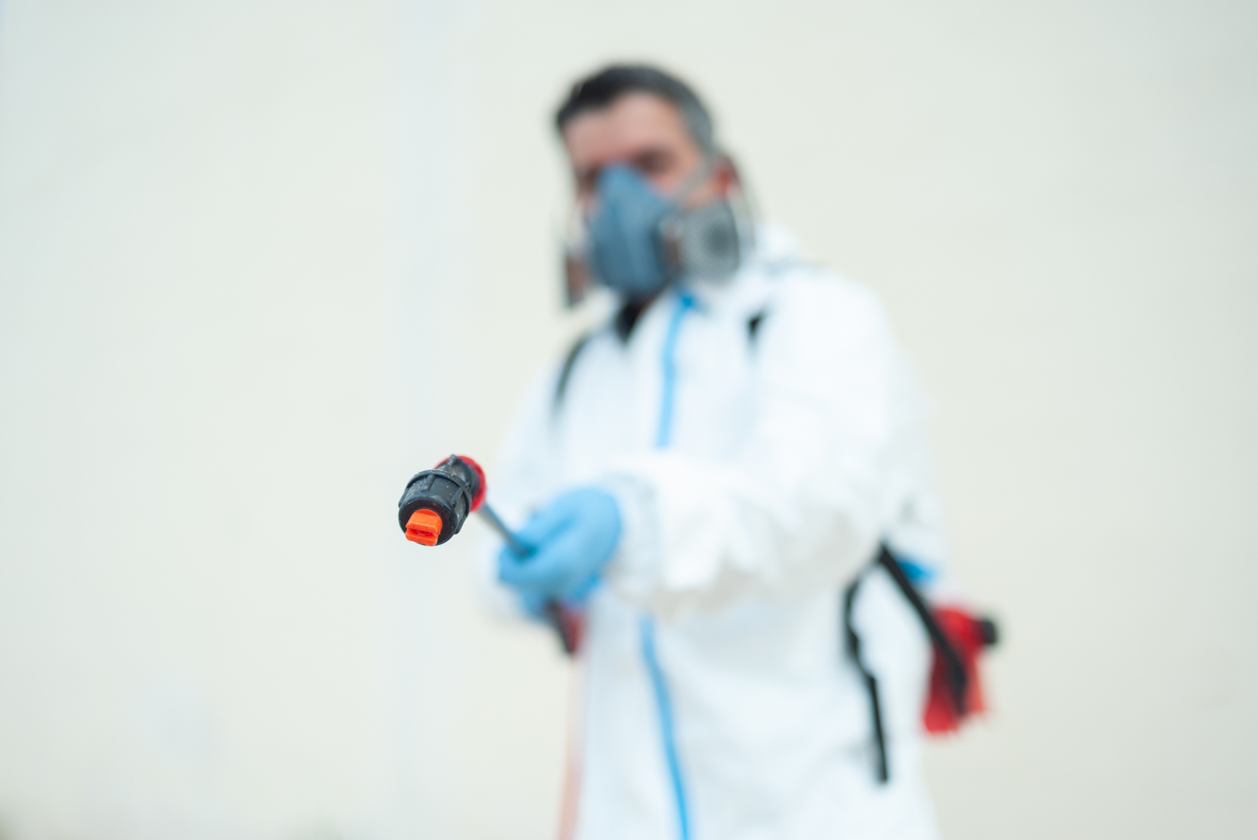 Pest Control Company Cape Town