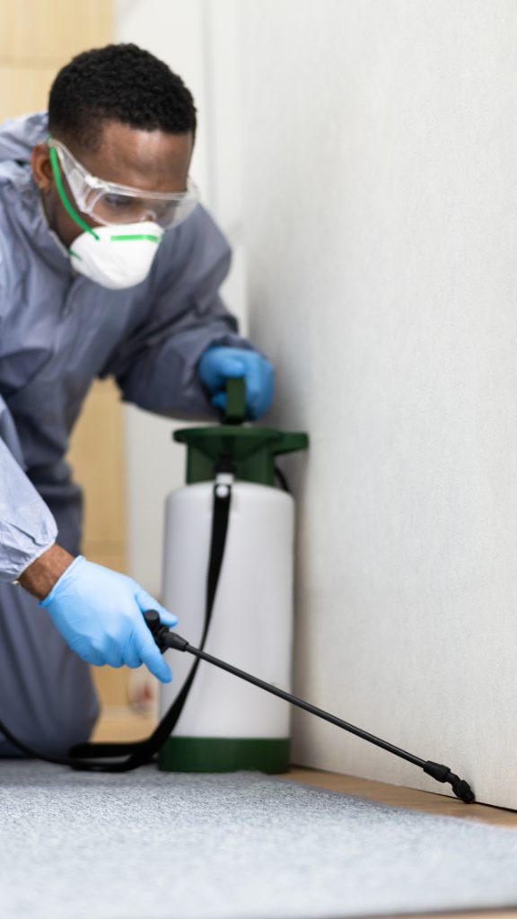 Certified Pest Control Northern Suburbs Cape Town